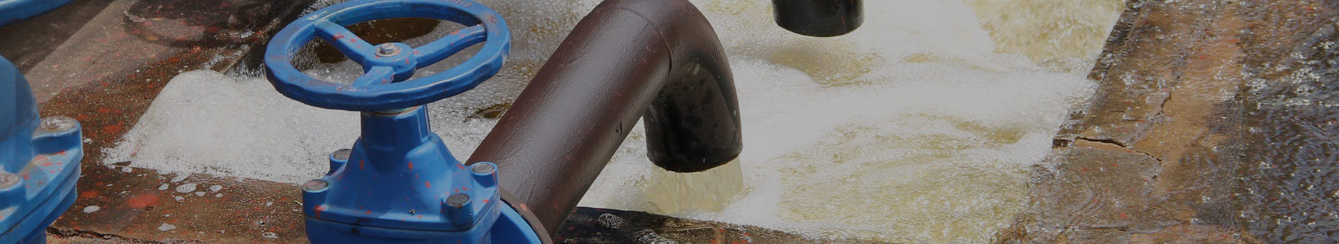 창수이 기술 그룹 유한 회사